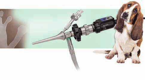 Otoscopy in Fountain Valley